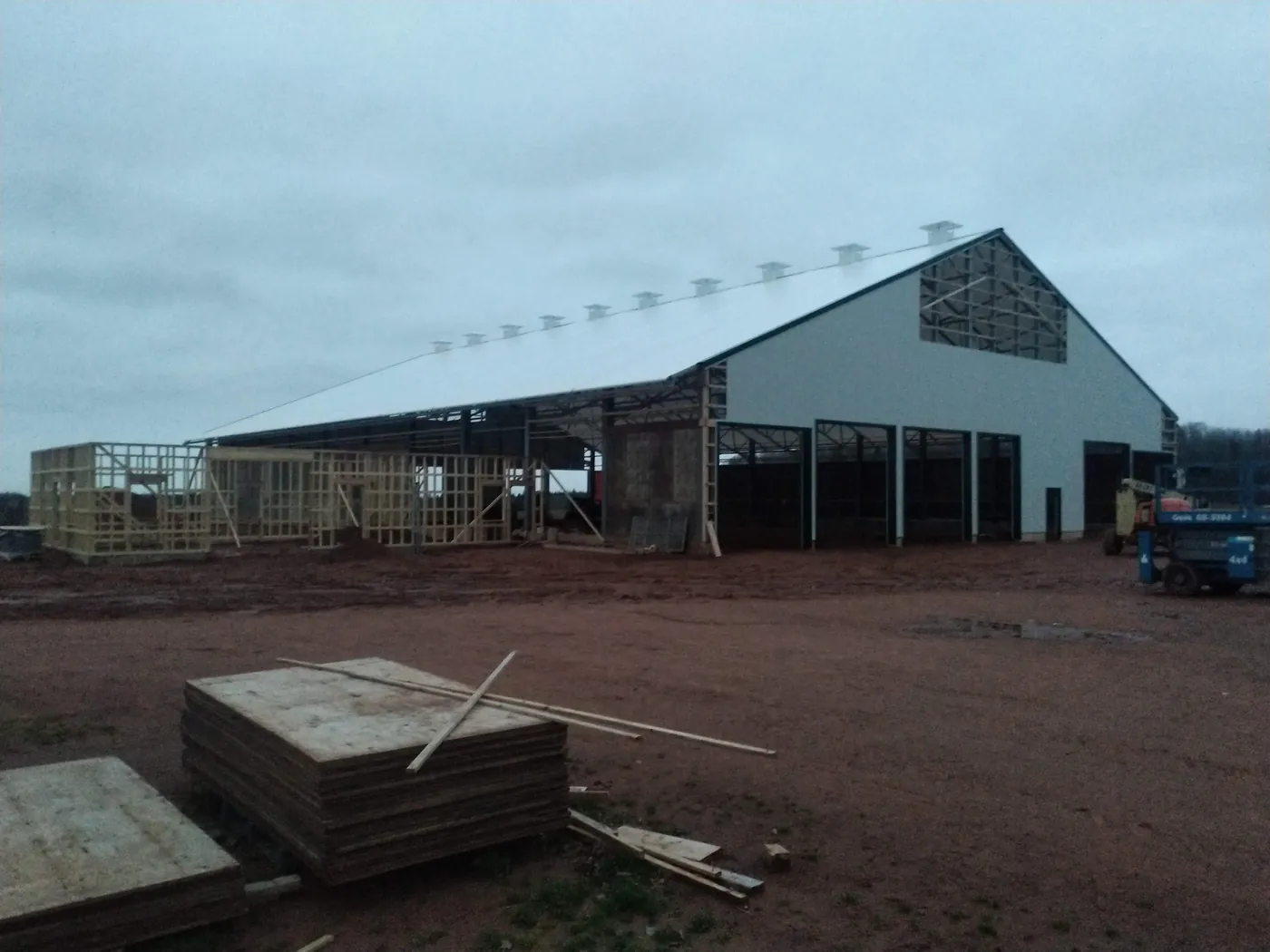 The dairy barn under construction, roof on and wall framing up