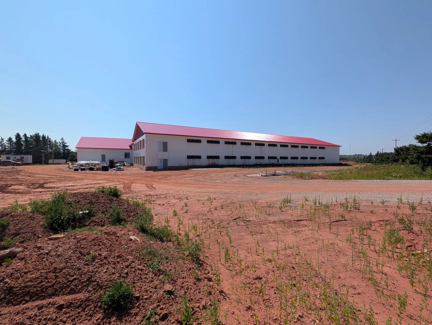A finished pullet barn across a red-soil field